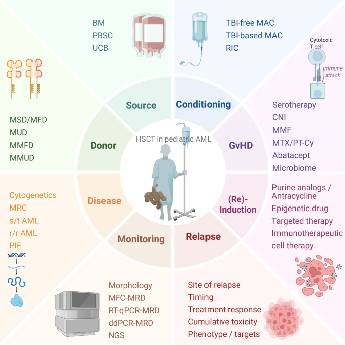 Fig. 1: Factors affecting eligibility to and outcome of allogeneic HSCT in children with acute myeloid leukemia.
