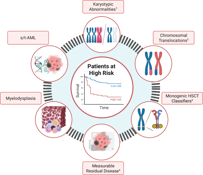 Fig. 2: Factors indicating eligibility for HSCT in newly diagnosed pediatric AML.