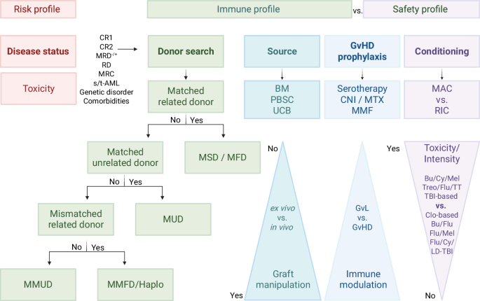 Fig. 5: A Guide to personalized therapy: HSCT in pediatric AML.