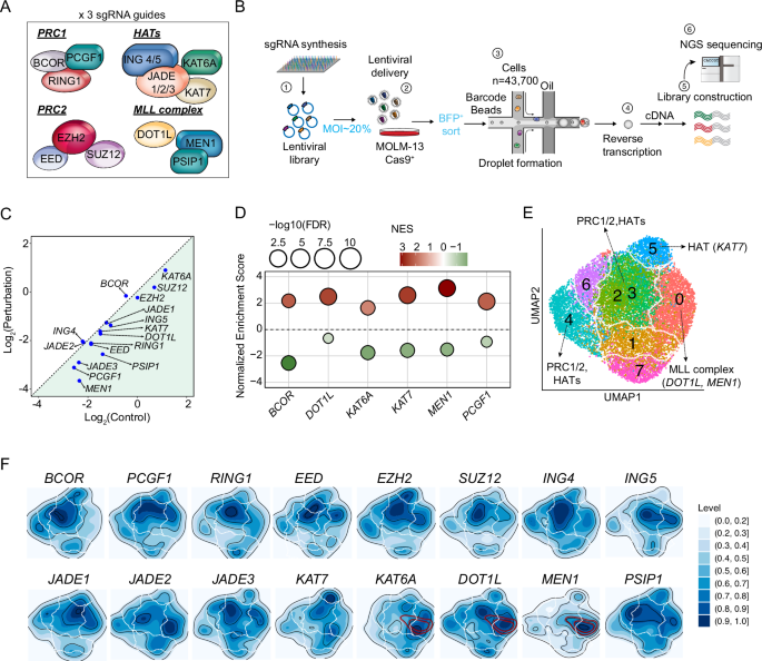 Fig. 1: High-throughput single-cell perturbation of epigenetic regulators in AML.