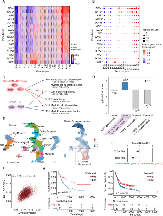 Fig. 2: Computational modeling identified a clinically relevant myeloid differentiation program.