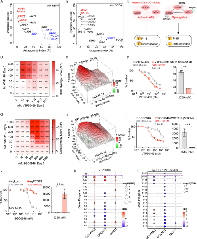 Fig. 3: Targeting the MEN1/DOT1L-KAT6A hub reveals a potent synergistic vulnerability in AML.