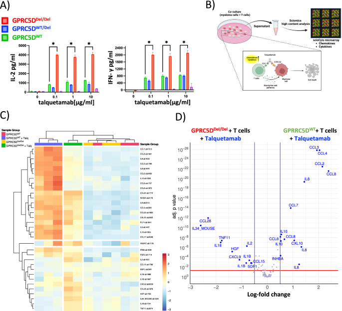 Fig. 5: Cytokine quantification for functional profiling of T cells in the presence vs. absence of GPRC5D.