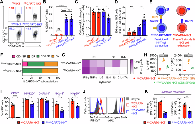 Fig. 3: Comparison of the phenotype and functionality of HSPC and PBMC-derived CAR70-NKT cells.