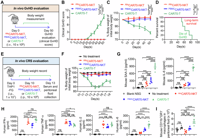 Fig. 7: Safety evaluation of CAR70-NKT cells.