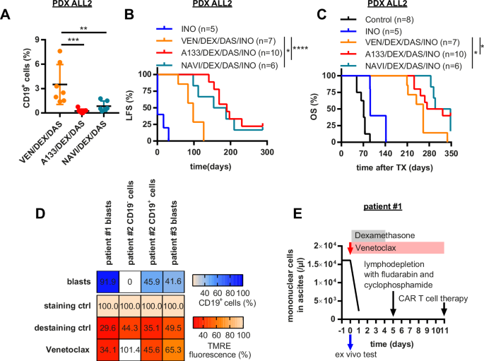 Fig. 2: DEX/DAS/INO combinations with BCLXL-targeting BH3 mimetics are superior to Venetoclax combination therapies in BCR::ABL1+ PDX models in vivo.