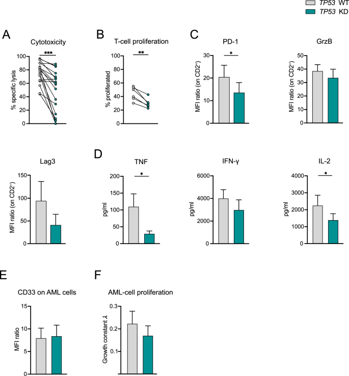 Fig. 2: AMG 330-mediated cytotoxicity and T-cell function is reduced upon co-culture with MV4-11 TP53 KD compared to TP53 WT.