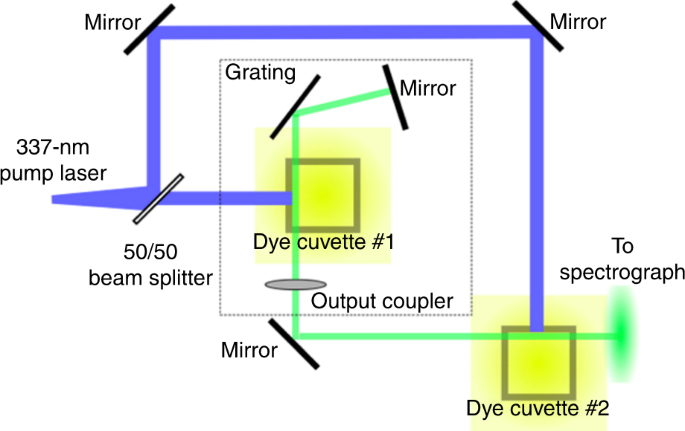 figure 8