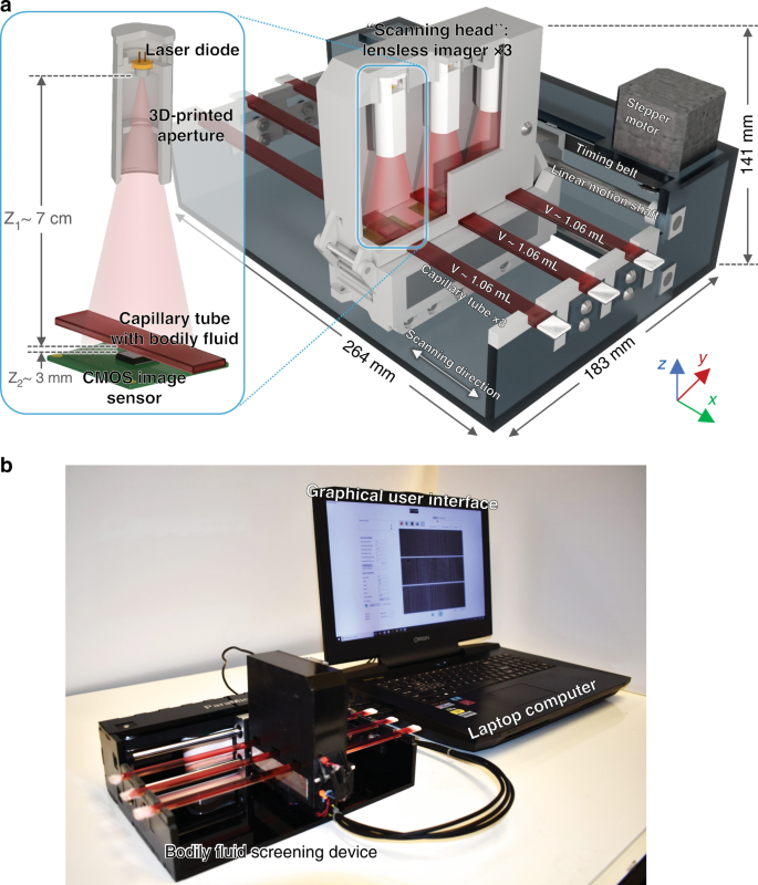 Motility-based label-free detection of parasites in bodily fluids using  holographic speckle analysis and deep learning | Light: Science &  Applications