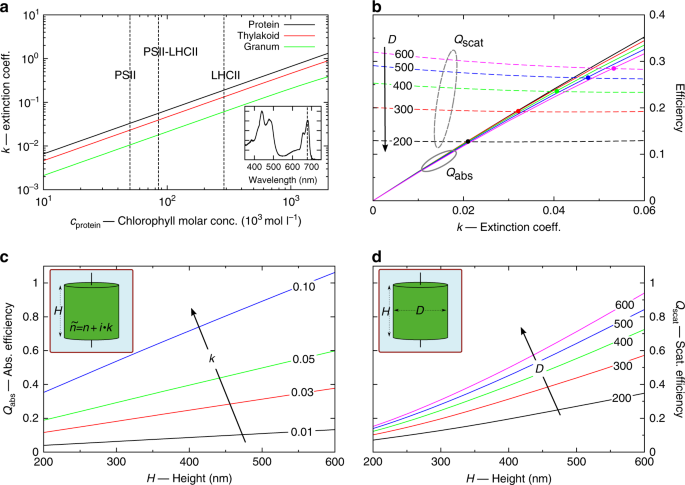 Nanophotonics Of Higher Plant Photosynthetic Membranes Light Science Applications