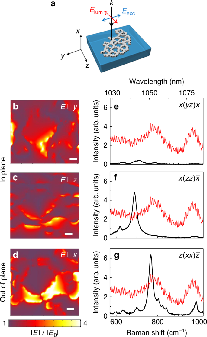 Plasmon-induced dual-wavelength operation in a Yb3+ laser | Light: Science  & Applications