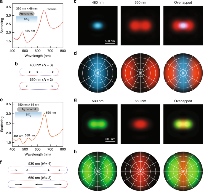 Fig. 4: FDTD simulation results.