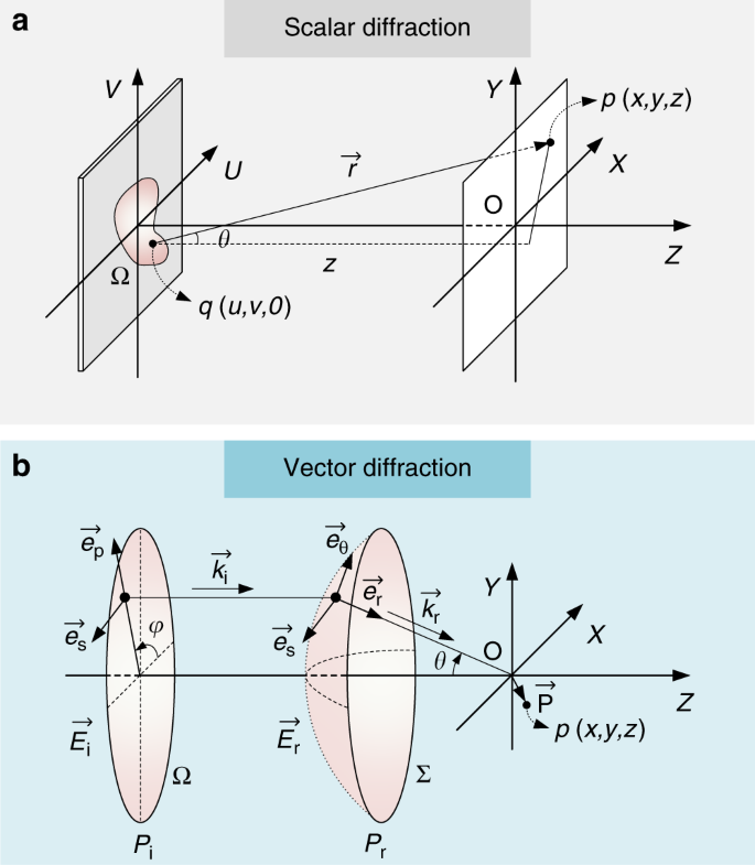 Efficient full-path optical calculation of scalar and vector diffraction  using the Bluestein method | Light: Science & Applications