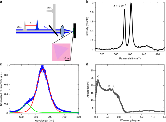 Ultrafast Transient Sub Bandgap Absorption Of Monolayer Mos 2 Light Science Applications Ultrafast Transient Sub Bandgap Absorption Of Monolayer Mos 2 Light Science Applications