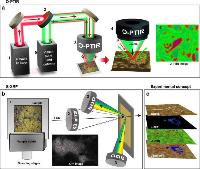 Correlative Optical Photothermal Infrared And X Ray Fluorescence For Chemical Imaging Of Trace Elements And Relevant Molecular Structures Directly In Neurons Light Science Applications