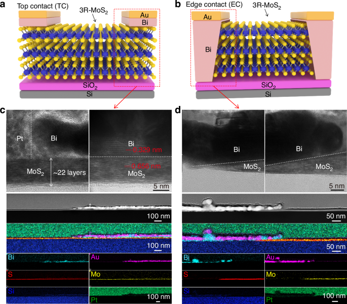 Fig. 1: Preparation and characterizations of TC and EC devices.