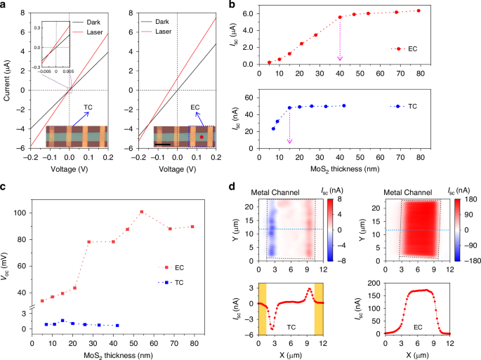 Fig. 2: Characteristics of the BPVE in Bi/Au-based 3R-MoS2 devices.
