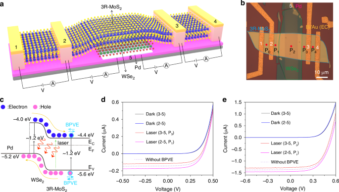 Fig. 4: BPVE and PVE performance of EC 3R-MoS2/WSe2 p–n heterojunction.