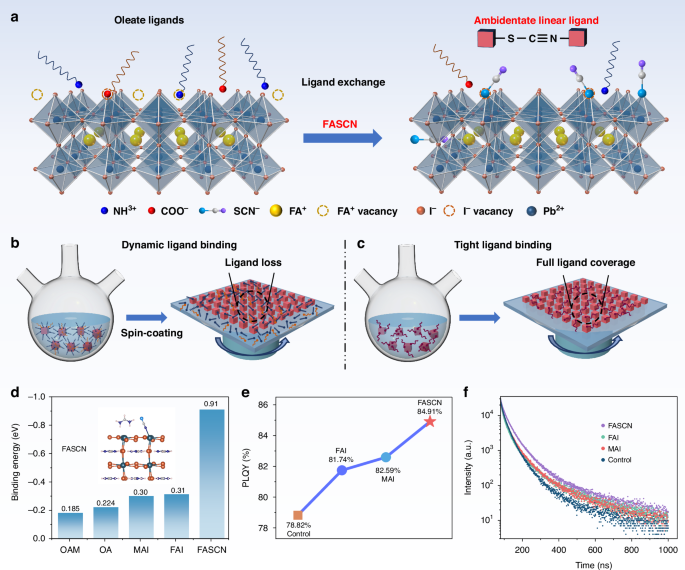 Fig. 1: Mechanism and performance of ligand exchange.