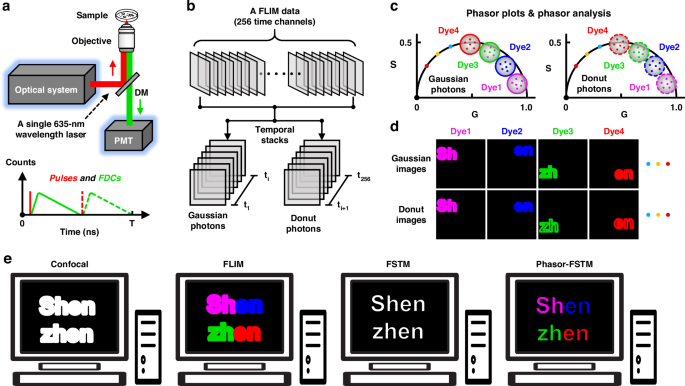 Fig. 1: Operating principle of Phasor-FSTM method.