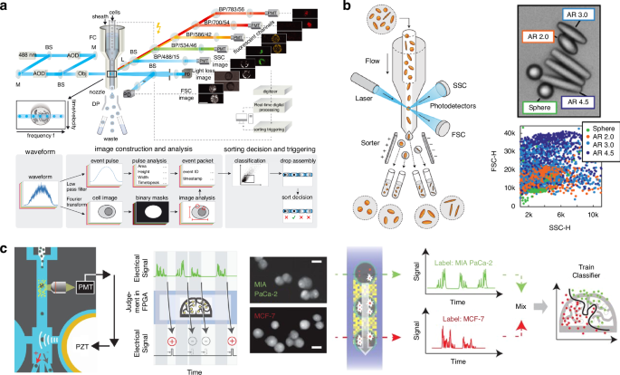 figure 23