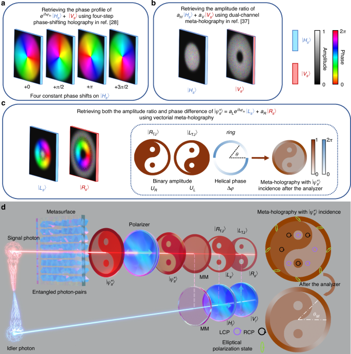 Fig. 1: Schematic of entanglement-controlled vectorial meta-holography (ECVMH)