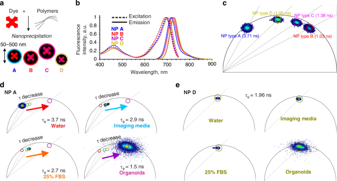 Fig. 1: Design, spectral and fluorescence lifetime characteristics of the model nanoplastics NP A-D.