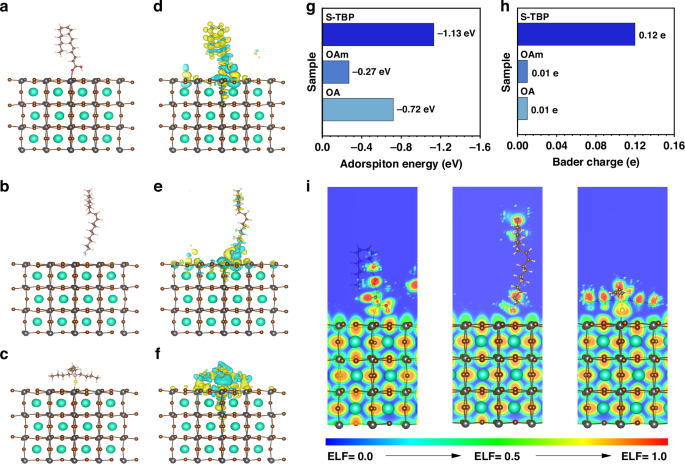 Fig. 3: Theoretical investigation of ligands-NPLs interactions.