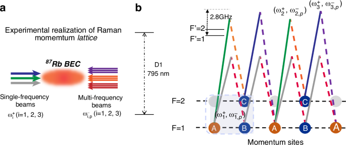 Fig. 4: Illustration of experimental configuration and momentum-lattice encoding scheme.