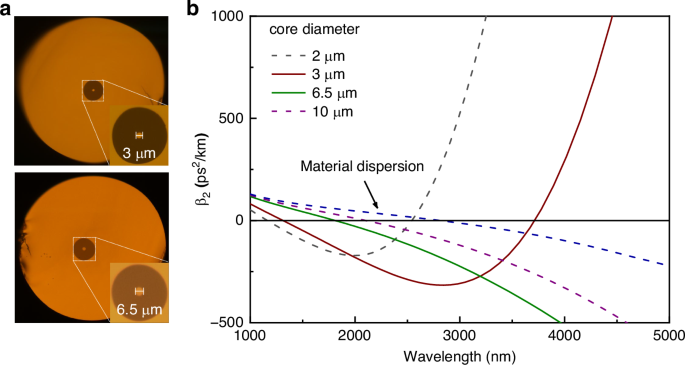 Fig. 2: Microstructure and dispersion characteristics of the TBAY fiber.