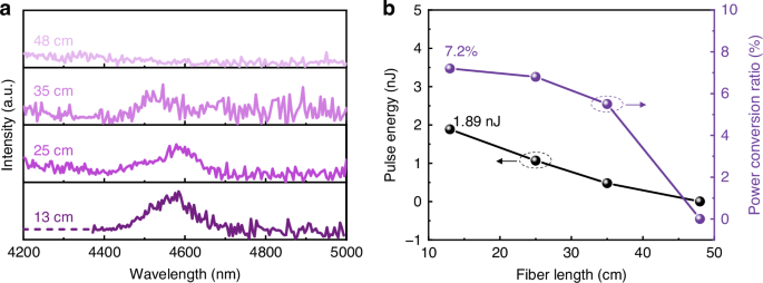 Fig. 4: Output characteristics of fibers with different lengths at an incident pulse energy of 154.8 nJ.