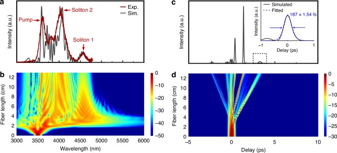 Fig. 6: Simulated output characteristics of 6.5 μm core diameter TBAY fibers at incident pulse energy of 154.8 nJ.