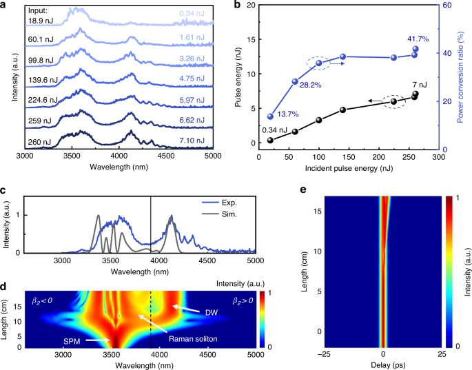 Fig. 8: Output characteristics of 16.9-cm-long TBAY fiber.