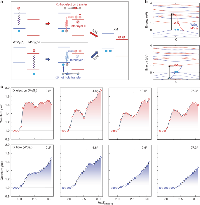 Fig. 4: Theorical modeling of IXM in twisted MoS2/WSe2 heterobilayers.