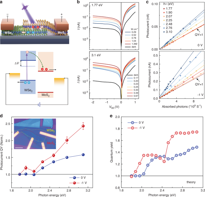 Fig. 6: Photocurrent multiplication in a MoS2/WSe2 heterobilayer photodiode.