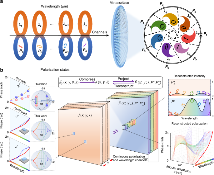 Fig. 1: Conceptual framework and modeling pipeline of continuous information domain reconstruction.