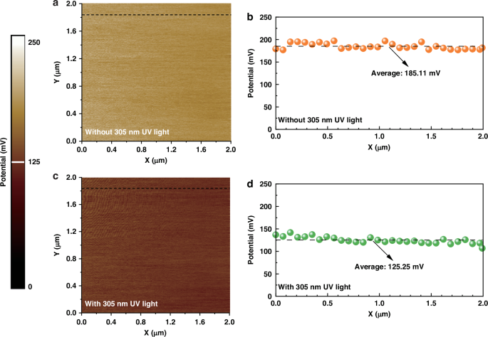 Fig. 3: KPFM characterization of the polarization transistor region.