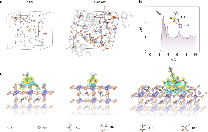 Fig. 1: Theoretical calculations of the ion-pair pinning effect.