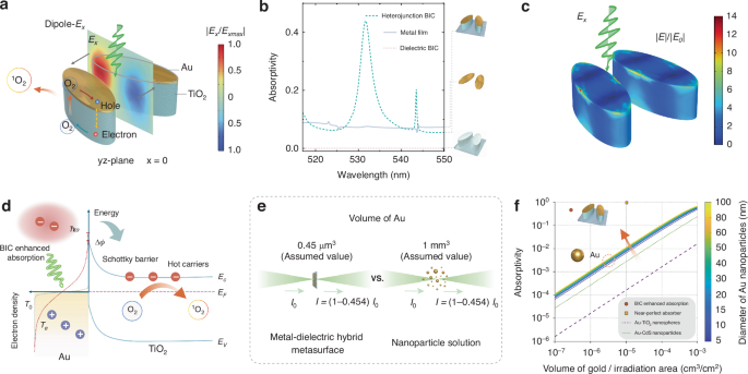 Fig. 2: BIC-driven hot-carrier physics in a minimal-metal Au–TiO2 heterojunction metasurface.