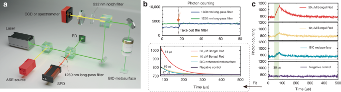 Fig. 4: Time-resolved detection of 1O2 phosphorescence from q-BIC metasurfaces.