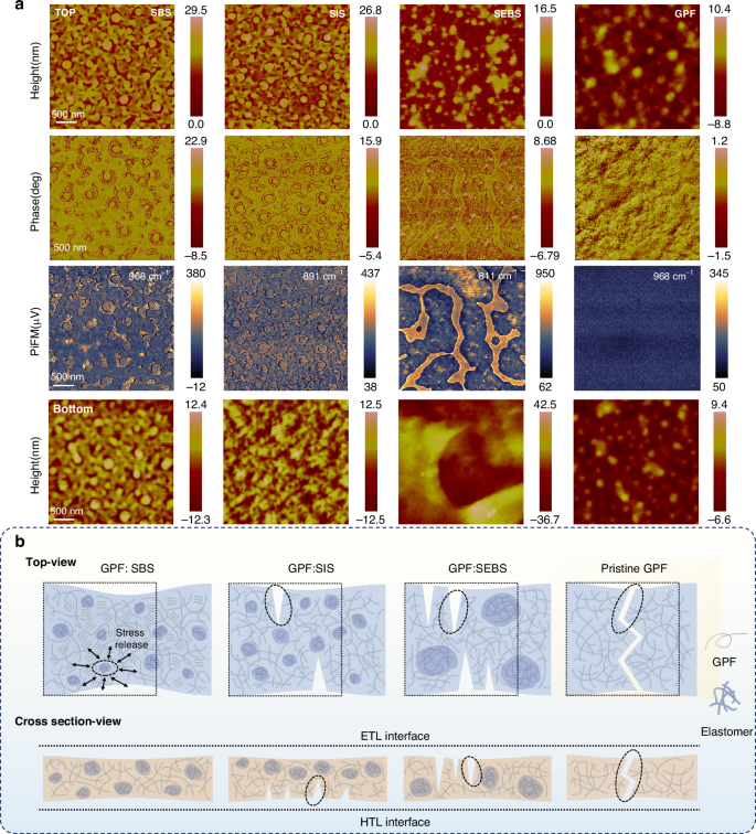 Fig. 3: Morphological properties of GPF-based blend films.
