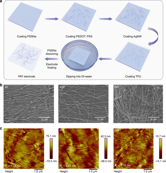 Fig. 4: Fabrication process and morphological characterization of stretchable electrodes.