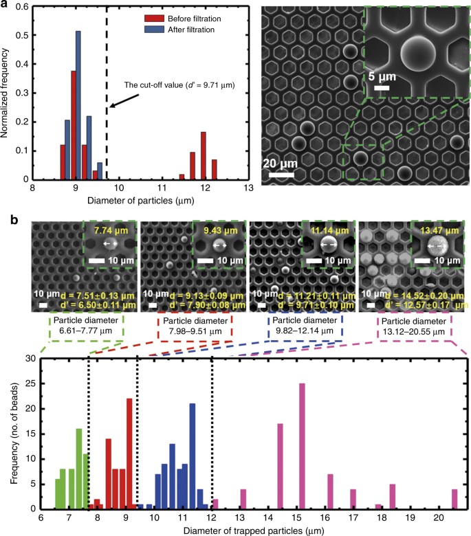 Fig. 5: Particle separation results with the single-layer and multi-layer filtrations.
