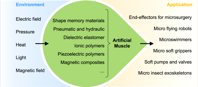 research paper muscle memory figure 1
