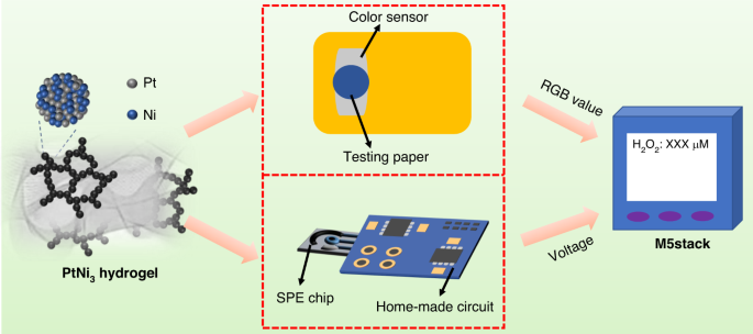 scheme 1