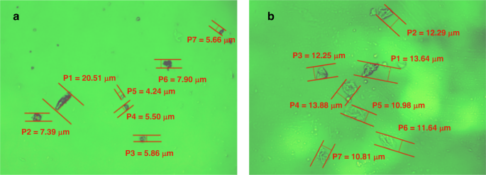 figure 14