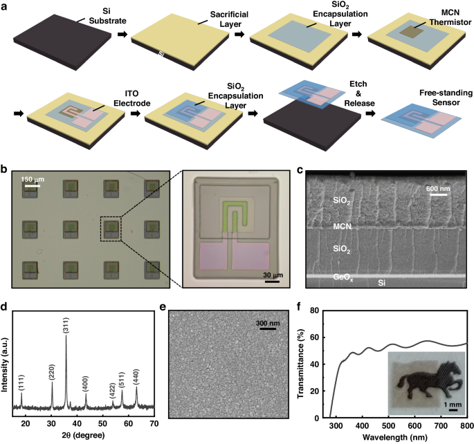 Fig. 1: Fabrication, structure and morphology of the sensor.
