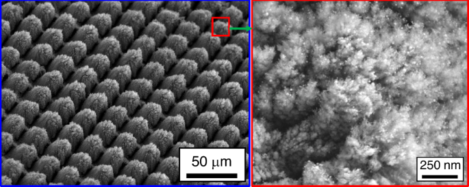 Fig. 7: Case study’s microstructural results.