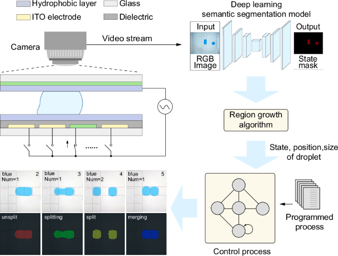 An artificial intelligence-assisted digital microfluidic system for ...