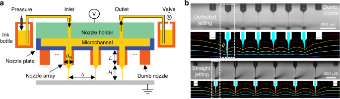 Fig. 1: Arrayed EHD printhead and jetting process.